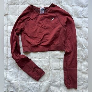 Gymshark Burgandy Visionary Crop